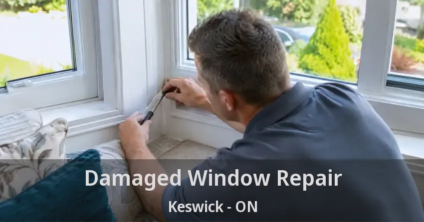 Damaged Window Repair Keswick - ON