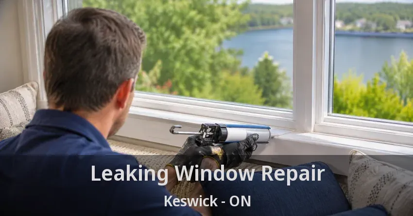 Leaking Window Repair Keswick - ON
