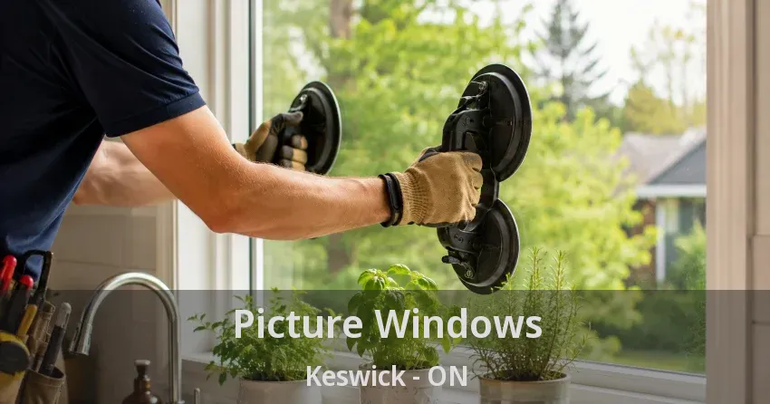Picture Windows Keswick - ON