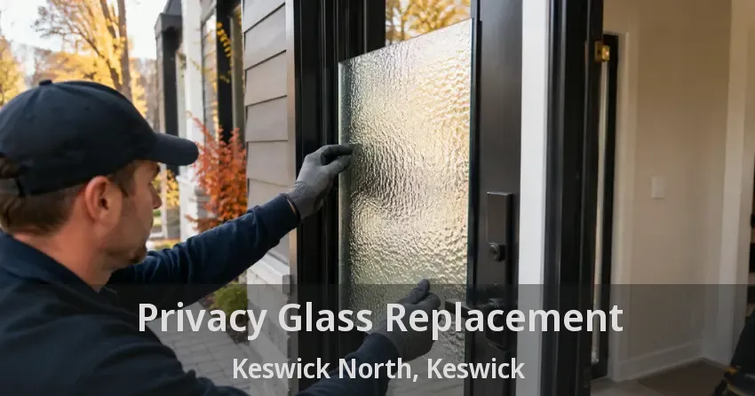 Privacy Glass Replacement Keswick North, Keswick - ON